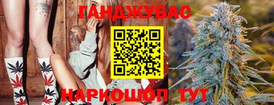 шишки Усть-Илимск