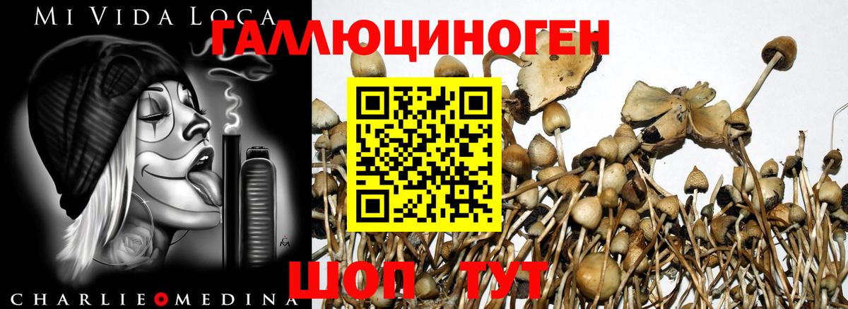 Галлюциногенные грибы прущие грибы Полевской